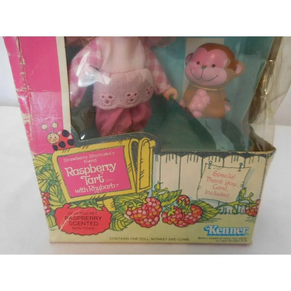 Strawberry Shortcake Raspberry Tart with Rhubarb No‎ 43120 Vintage Kenner NRFB